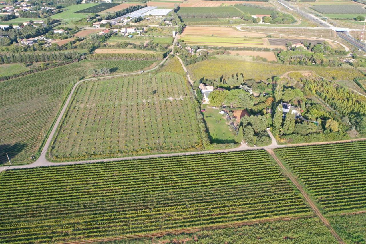 Domaine De La Trinite Montpellier - Aeroport - Plages - Arena - Zenith Saint-Aunes ภายนอก รูปภาพ